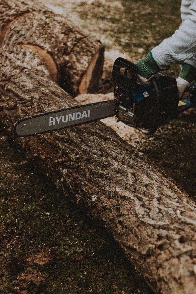 Holz wird mit Kettensäge verarbeitet