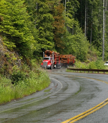 LKW transportiert große Mengen an Holz