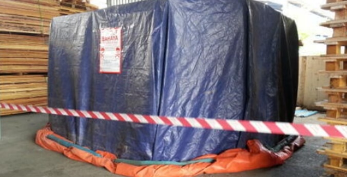 The-brown-marmorated-stink-bug-DEUFOL-006