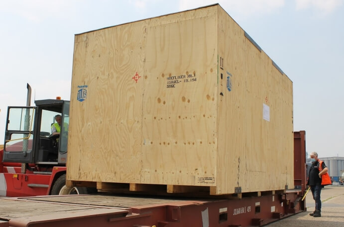 The-brown-marmorated-stink-bug-DEUFOL-007